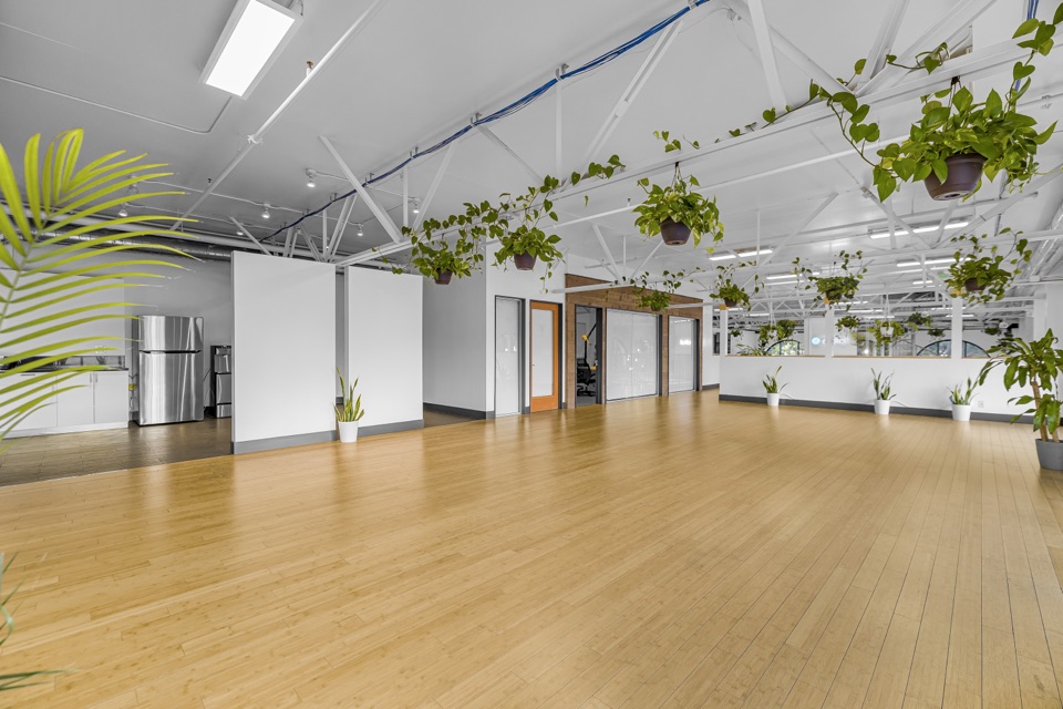 Quiet workspace by a floor-to-ceiling window with a large plant