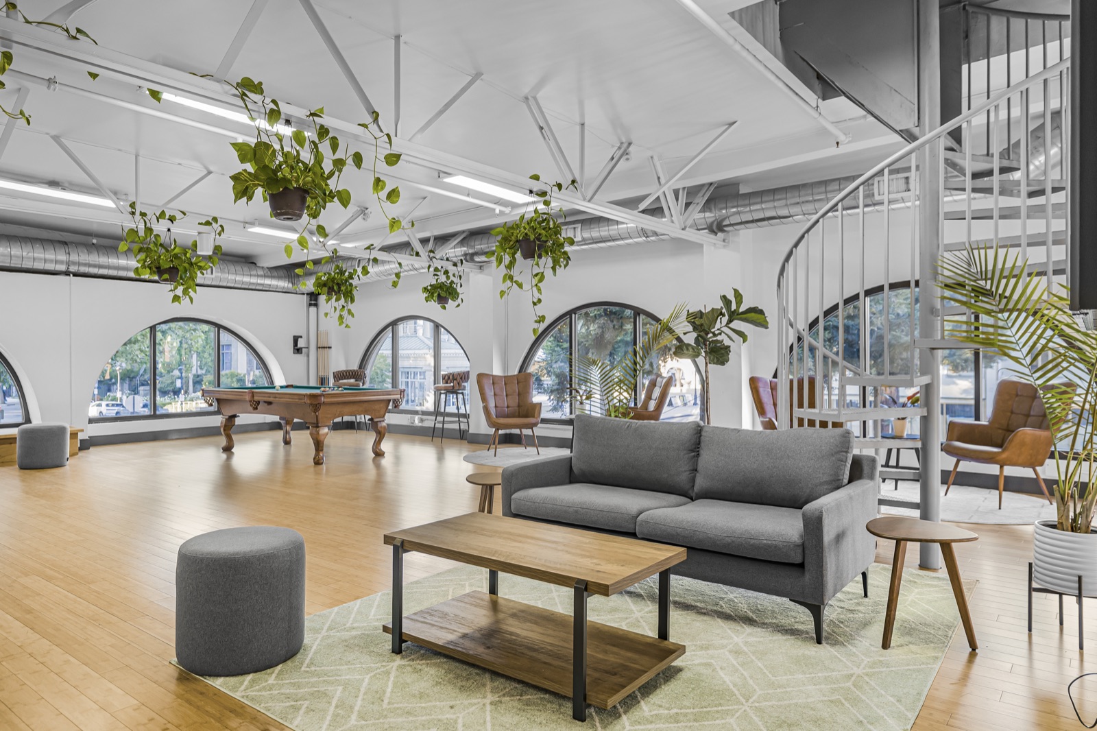 Sunlight pouring through floor-to-ceiling windows across a furnished loft space